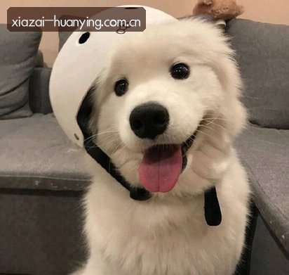 李娜